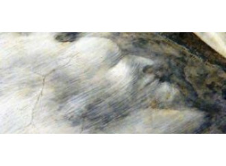 Giotto e il demone
che non c'è